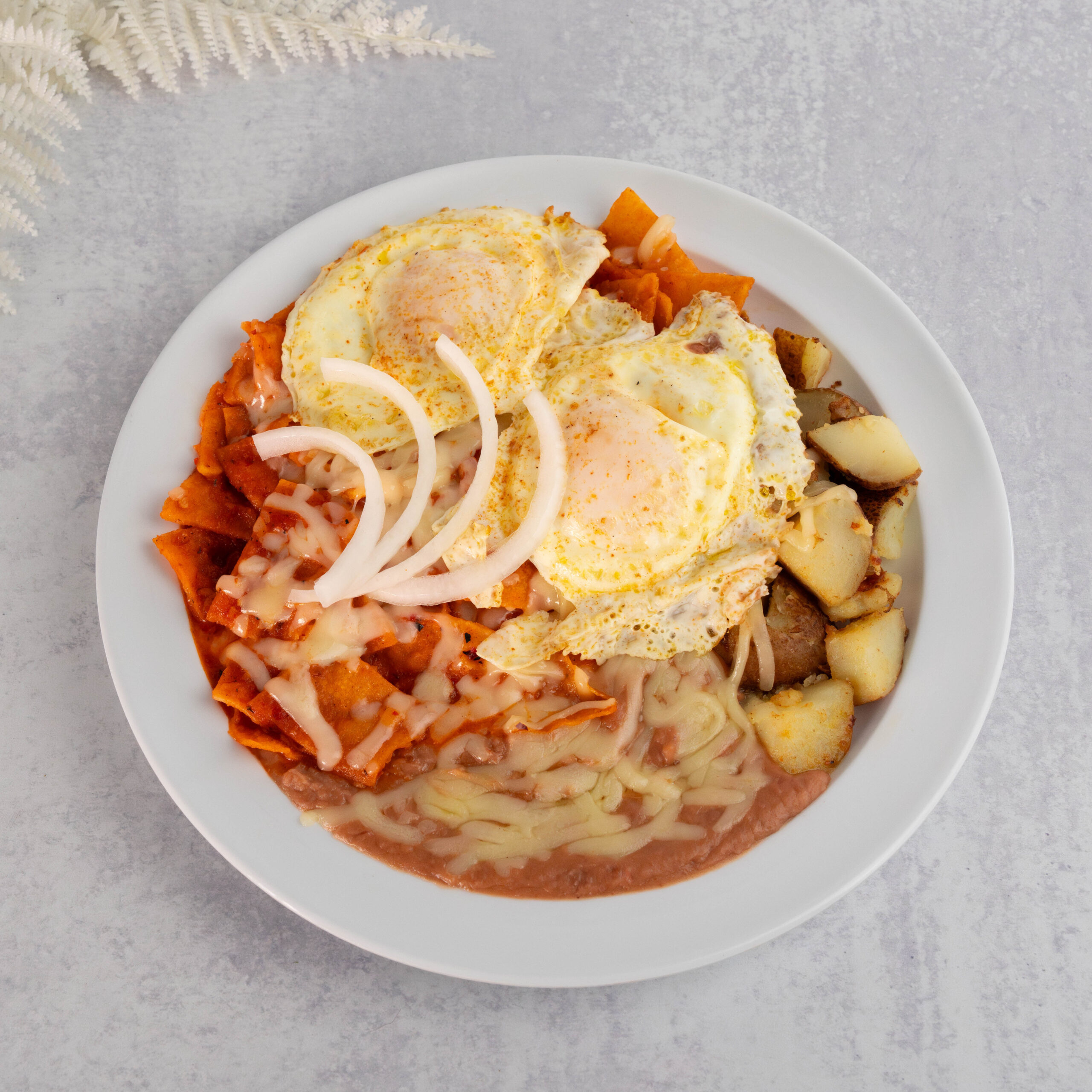 Chilaquiles plate