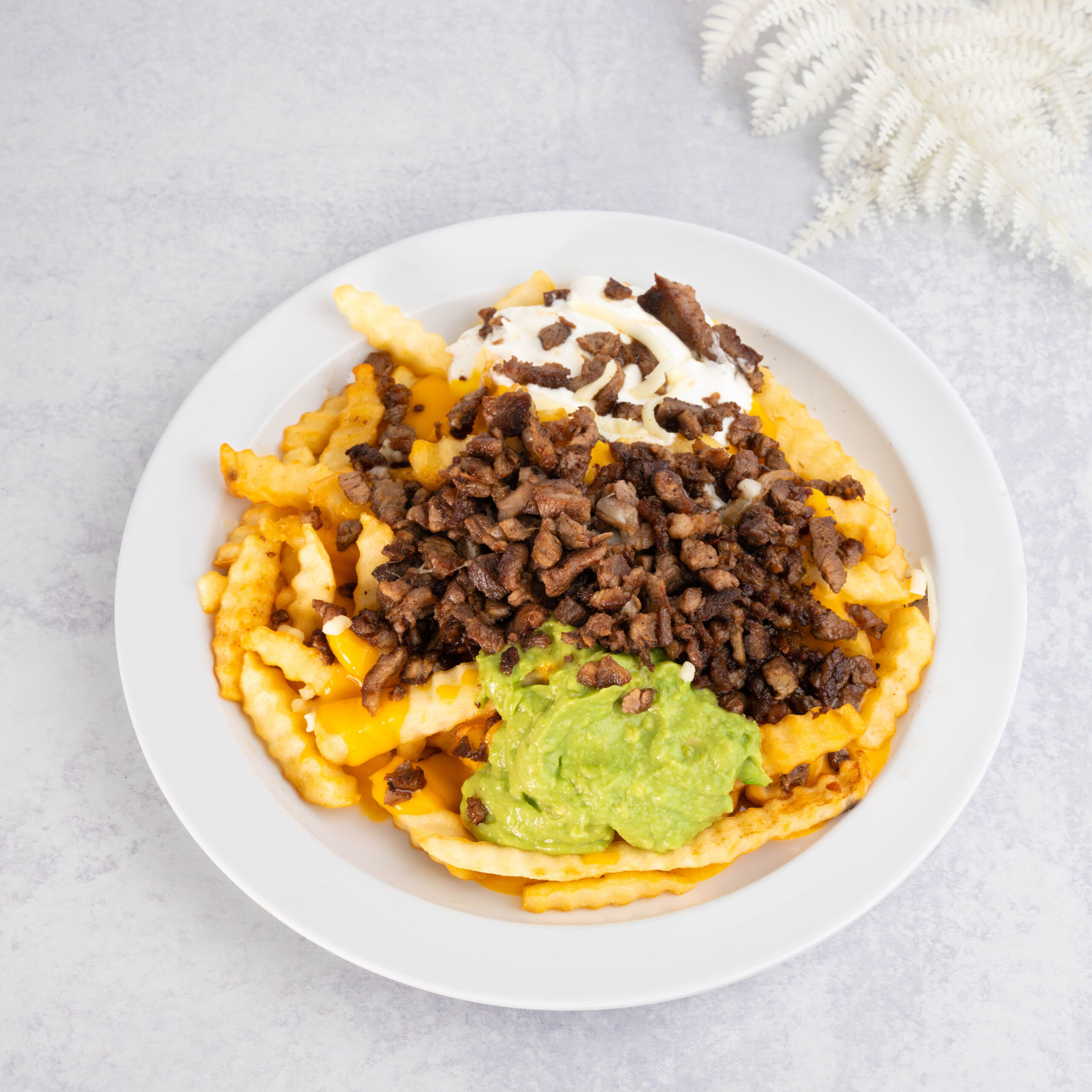 Carne asada fries